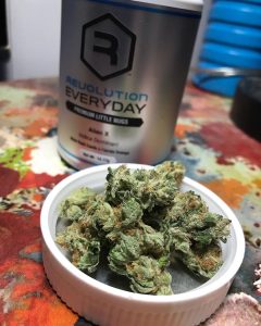 alien x by revolution cannabis strain review by nightmare_ro 1