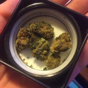 bakerstreet by tweed farms closeup strain review by thecoughingwalrus