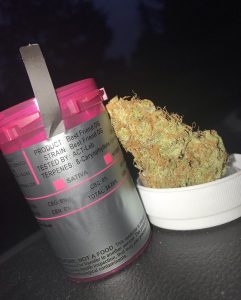 best friend og by shelby county cultivation strain review by nightmare_ro 1