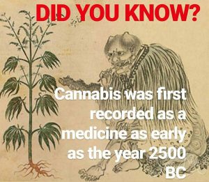 cannabis was first recorded as a medicine as early as 2500 bc