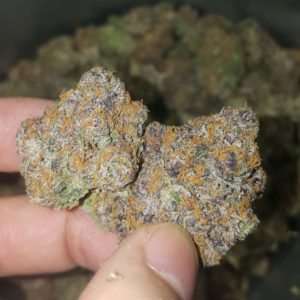 gushers by alien labs strain review by dc_ent