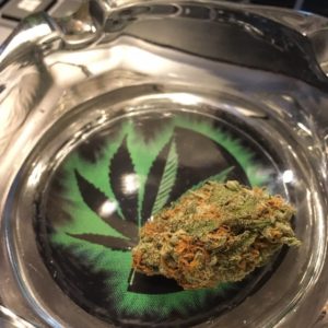 king tut ak-47 lineage strain review by thecoughingwalrus