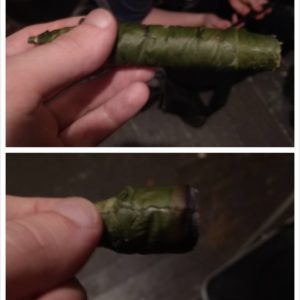 smoking banana leaf wrapped cannagar on 420 by pdxstoneman