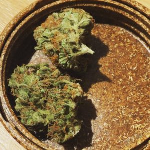 tangerine dream strain review by jean_roulin_420 2