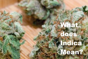 what does indica mean picture of pre 98 bubba kush