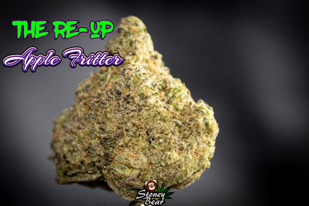 Strain Review Apple Fritter By THE REUP The Highest Critic