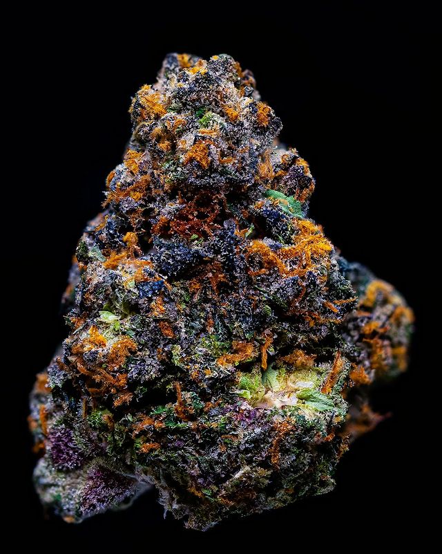 Strain Review Legend By Doja Exclusive The Highest Critic