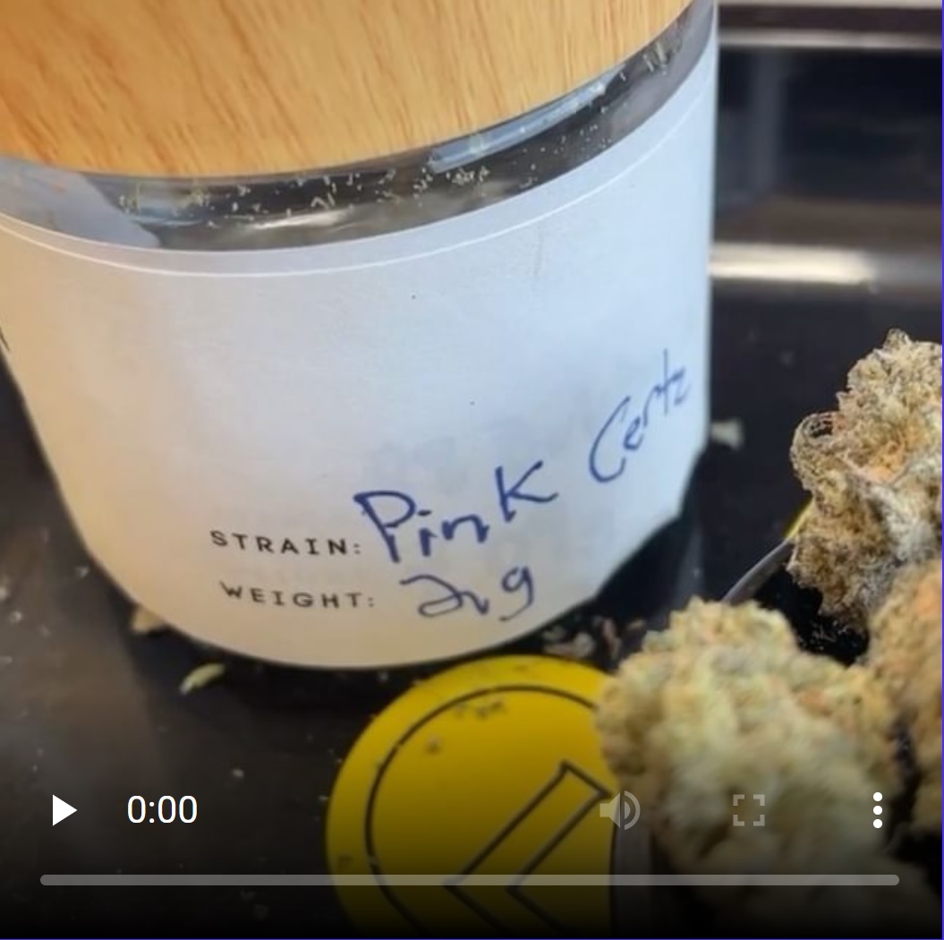 Cultivar Review Pink Certz From Jah Apothecary The Highest Critic