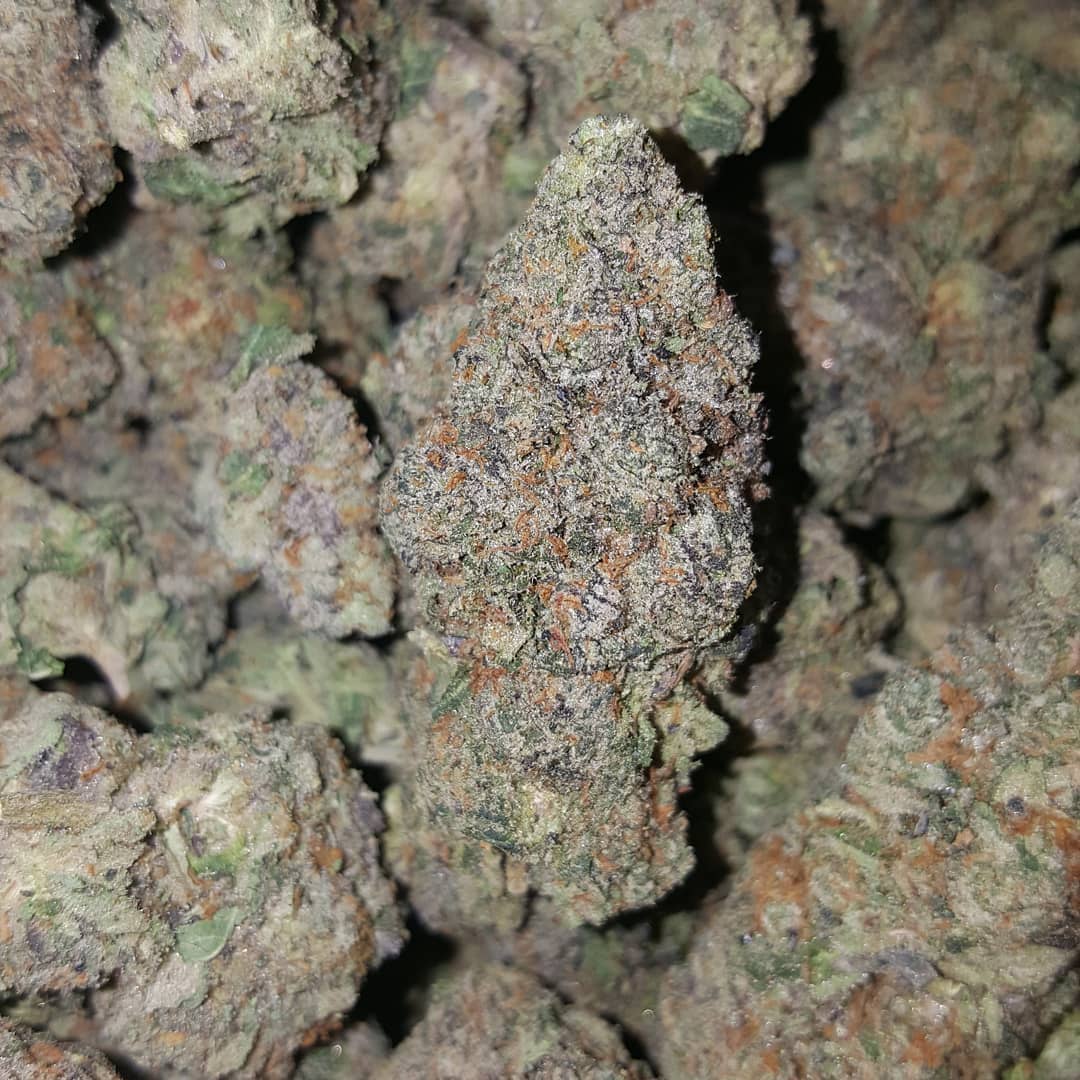 mochi strain review dcent treeviews