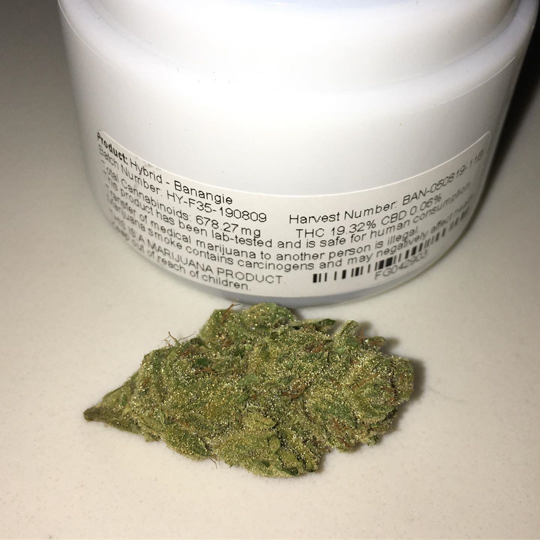 banangie from medmen strain review by indicadam