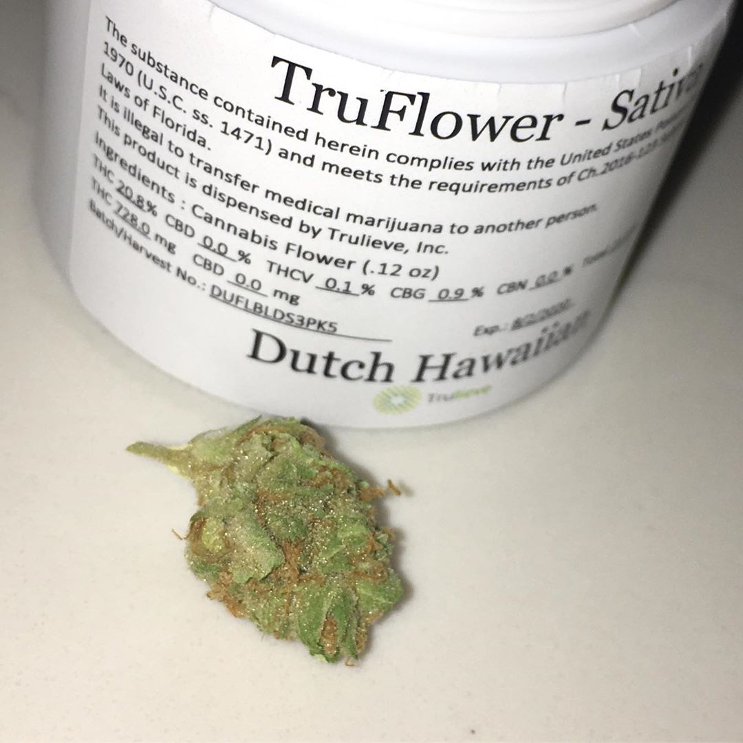 dutch hawaiian truflower from truleive satia strain review by indicadam