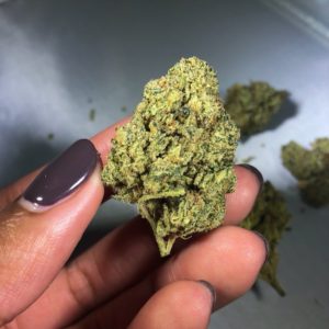 gorilla glue by dc pharm strain review by budfinderdc 2