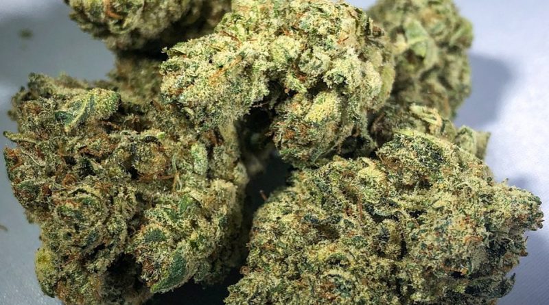 gorilla glue by dc pharm strain review by budfinderdc