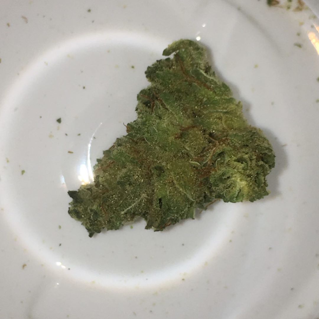 gorilla grapes truflower from trulieve strain review by indicadam