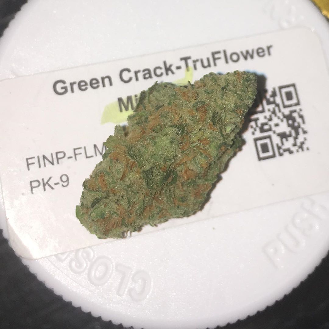 green crack from trulieve fl strain review by indicadam
