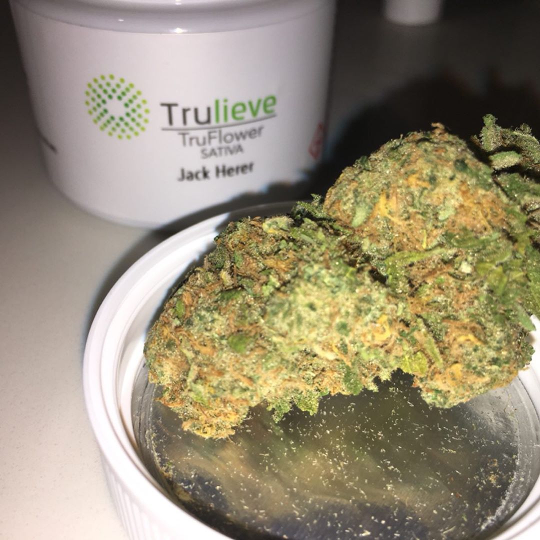 jack herer truflower from trulieve strain review by indicadam