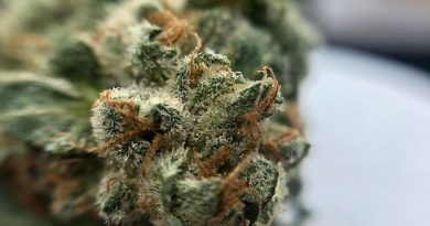 super a5 from liberty health sciences strain review by shanchyrls 2