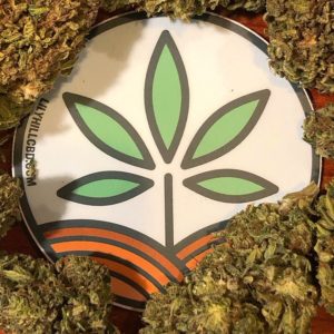 suzy q hemp flower by lily hill cbd picture by consciouscloudscbd