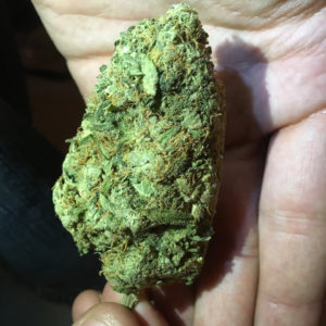 6g cheese nug from dho medicinal strain review by thecoughingwalrus