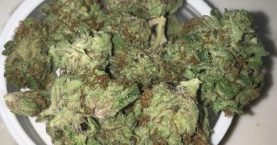 Mendocino menage a trois from one plant strain review by indicadam