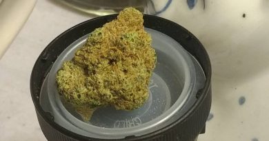 alien rock candy by meraki gardens strain review by pdxstoneman