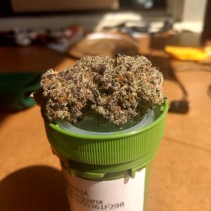 animal mints by evan creek farms from treehouse collective strain review by pdxstoneman