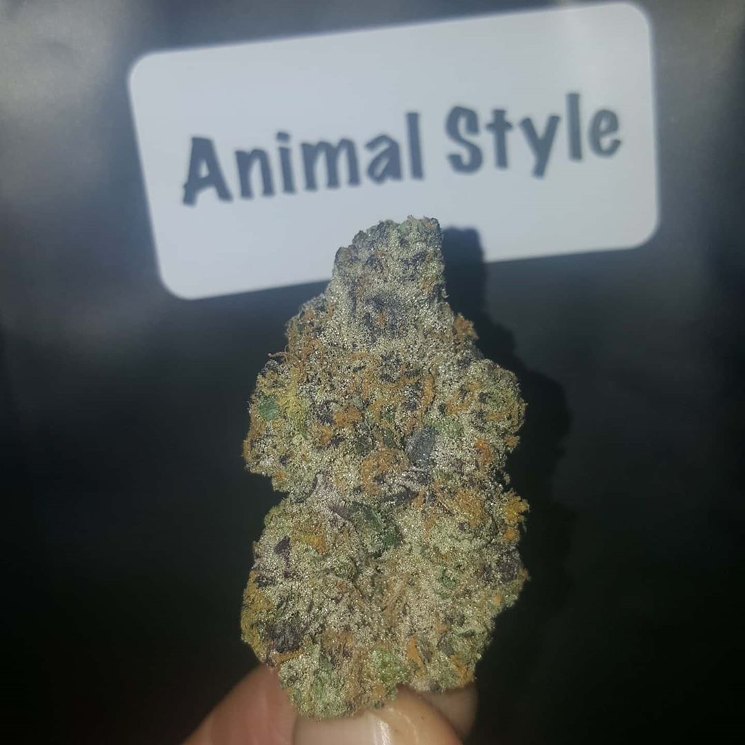 animal style by connected cannabis co strain review by dcent_treeviews 2