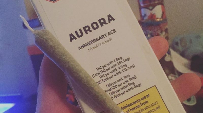 anniversary ace by aurora preroll strain review by thecoughingwalrus