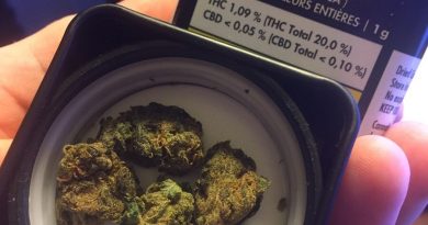 bakerstreet by tweed farms strain review by thecoughingwalrus