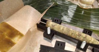 banana leaf wrapped cannagar with kings kush by pdxstoneman