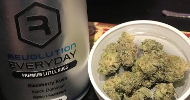 blackberry kush by revolution cannabis strain review by nightmare_ro 1