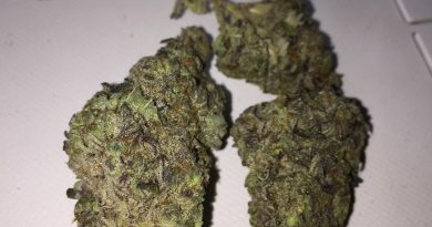 blackwater strain review by jean_roulin_420 1