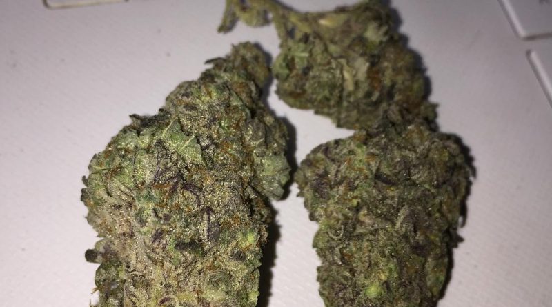 blackwater strain review by jean_roulin_420 1