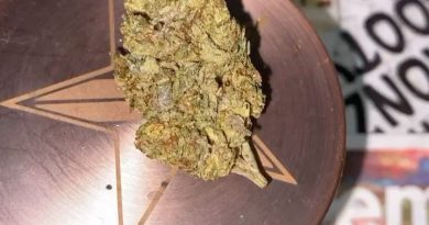 blue cookies strain review by nightmare_ro