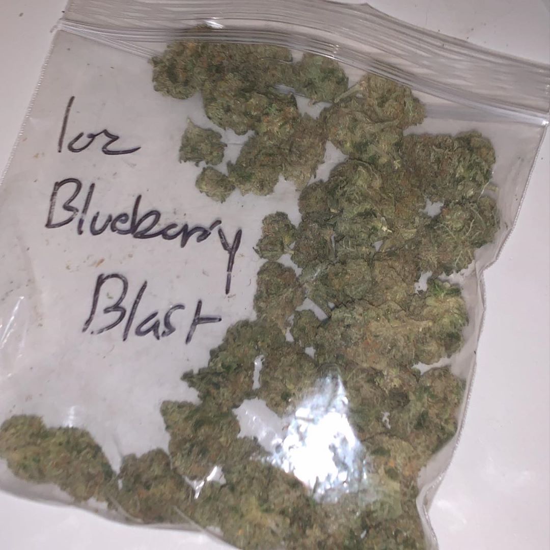 blueberry blast strain review by octpuffs