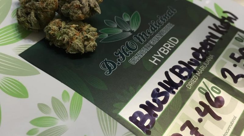blush blueberry kush strain review by thecoughingwalrus
