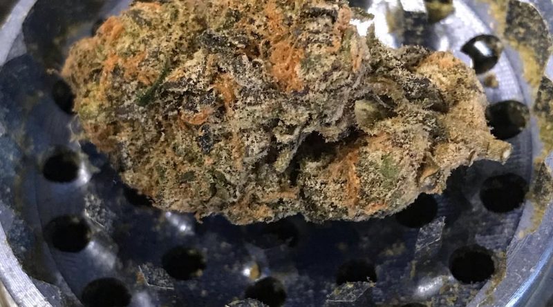 boy scout cookies strain review by nightmare_ro