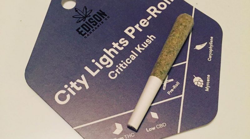 city lights aka critical kush pre-roll from edison cannabis co. review by thecoughingwalrus