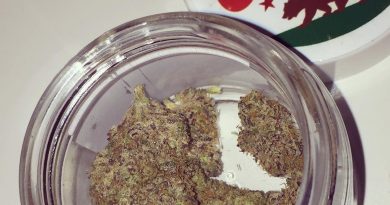 crumbled lime strain review by jean_roulin_420