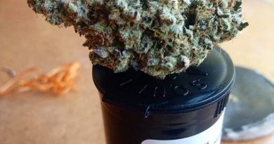 crystal cookies by high noon strain review by pdxstoneman
