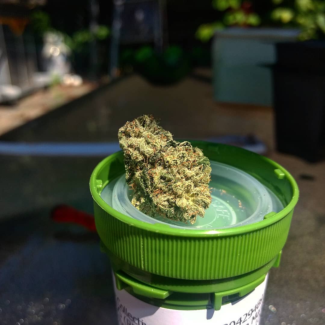 Strain Review Designer OG by Resin Ranchers The Highest Critic