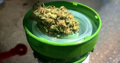 designer og from treehouse collective strain review by pdxstoneman