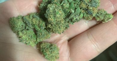 dosi punch strain review by octpuffs