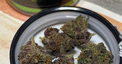 forbidden fruit strain review by nightmare_ro