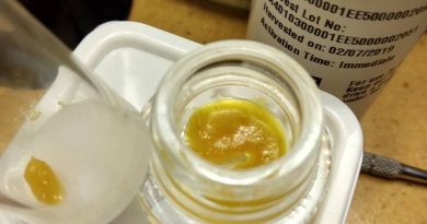 gelato 33 live resin by bobsled extracts concentrate review by pdxstoneman