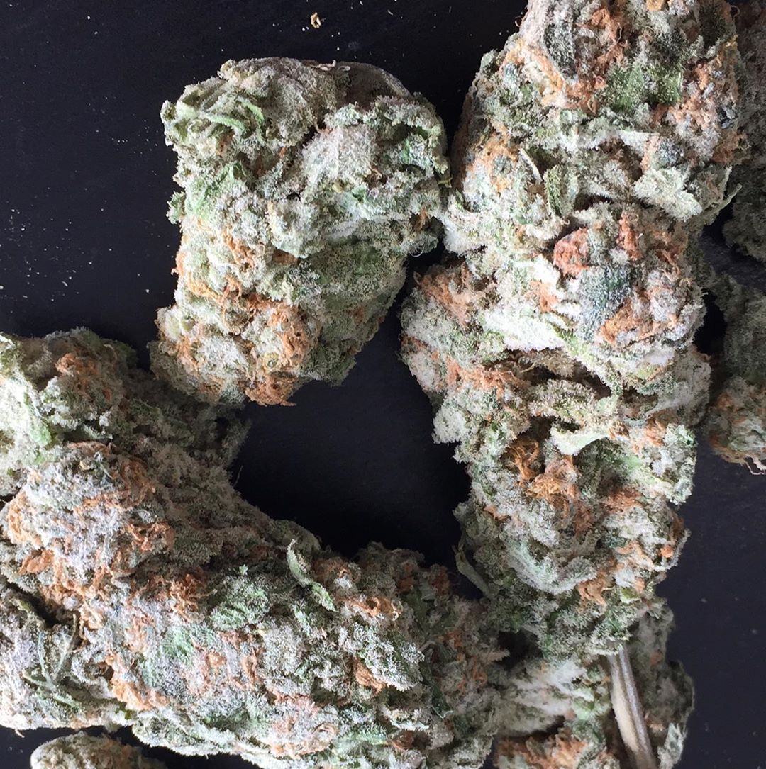 Strain Review: GG4 (Original Glue) - The Highest Critic