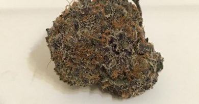 ghost train haze gth strain review by thecoughingwalrus