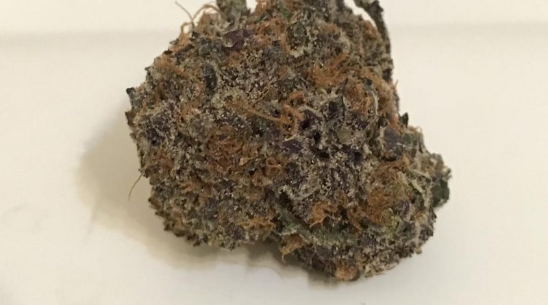 ghost train haze gth strain review by thecoughingwalrus