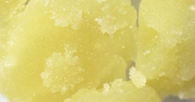 girl scout cookies gsc crumble from trulieve concentrate review by indicadam