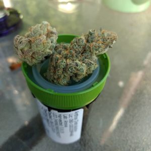 gmo cookies aka girl scout cookies from panda farms strain review by pdxstoneman